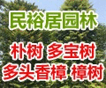 中山民裕居园林