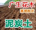 广生泥炭土