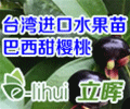 惠州市立晖园艺种苗有限公司