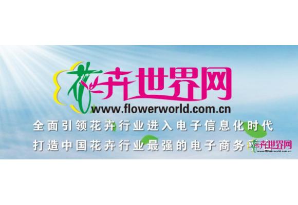 关于我们 关于我们
